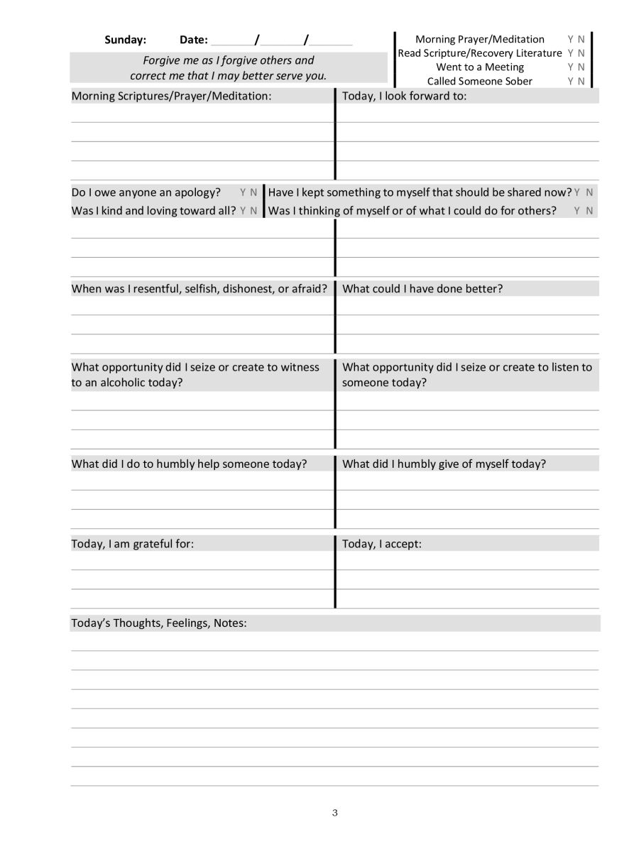 10th Step Journal For Recovering Alcoholics & Other Addicts