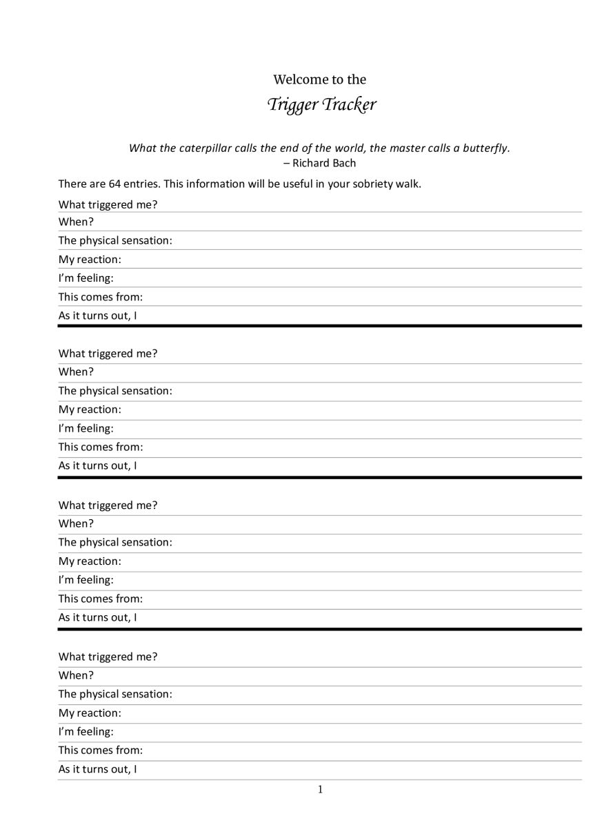 AA POWERFUL 12 STEP WORKBOOK With Trigger Tracker & Selfcare Check-Ins - an inside look