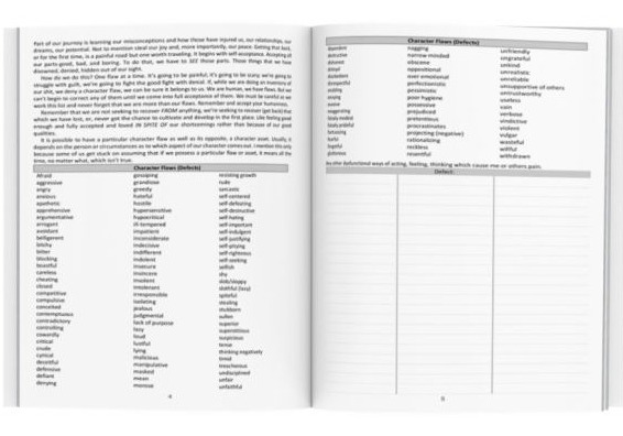 AA POWERFUL 12 STEP WORKBOOK With Trigger Tracker & Selfcare Check-Ins for alcoholics Anonymous and other addictions NA workbooks