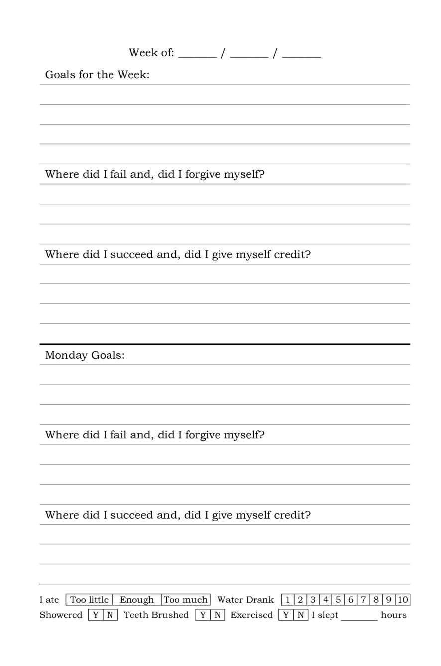 Weekly & Daily guided journal for alcoholics and other addicts