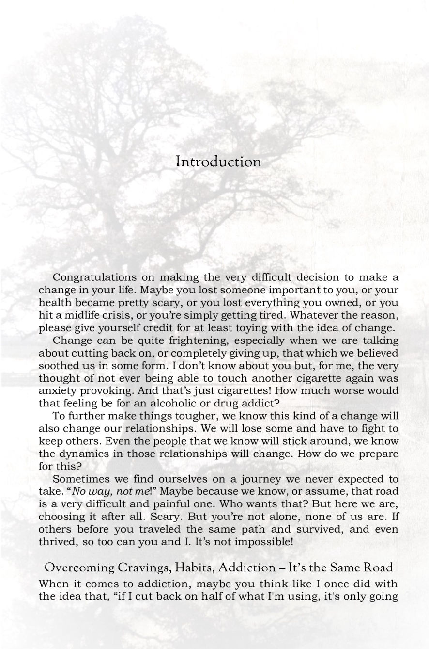 A Personal Introduction Just For You for recovering alcoholics and other addicts